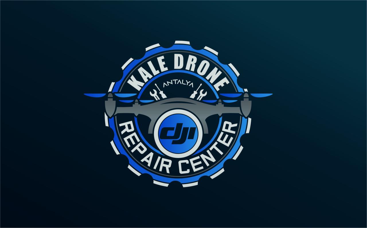 KALE DRONE kapak görseli